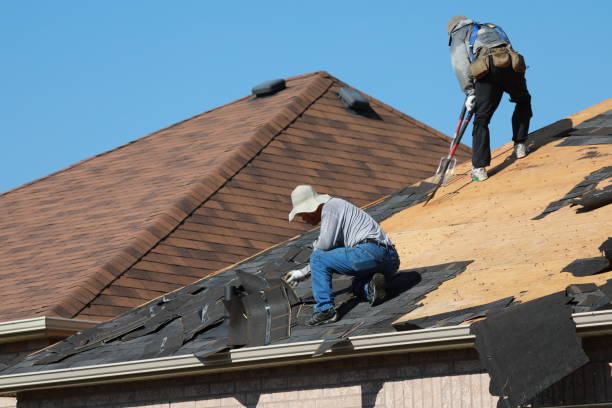 Best Roof Insulation Installation  in Benwood, WV