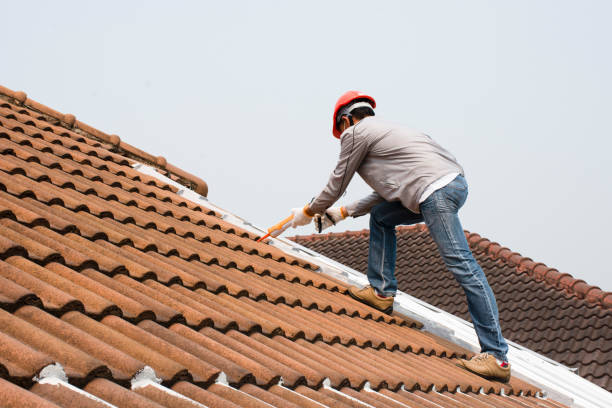 Best Roof Maintenance and Cleaning  in Benwood, WV