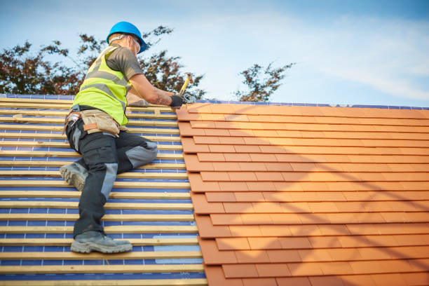 Best Storm Damage Roof Repair  in Benwood, WV